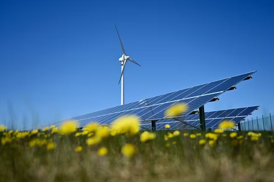 Cortes obrigatórios de geração para evitar apagões levam empresas a suspender projetos de energia solar e eólica
