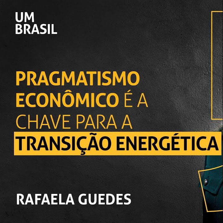 O papel do setor privado na transição energética, por Rafaela Guedes
